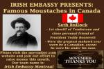 Great Moustaches in Canada